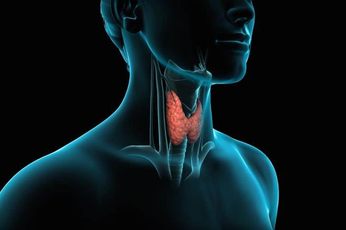 أطعمة تحمي من مشاكل الغدة الدرقية