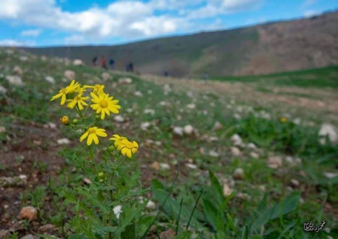 انخفاض على الحرارة مع بقائها أعلى من معدلها بـ3 درجات