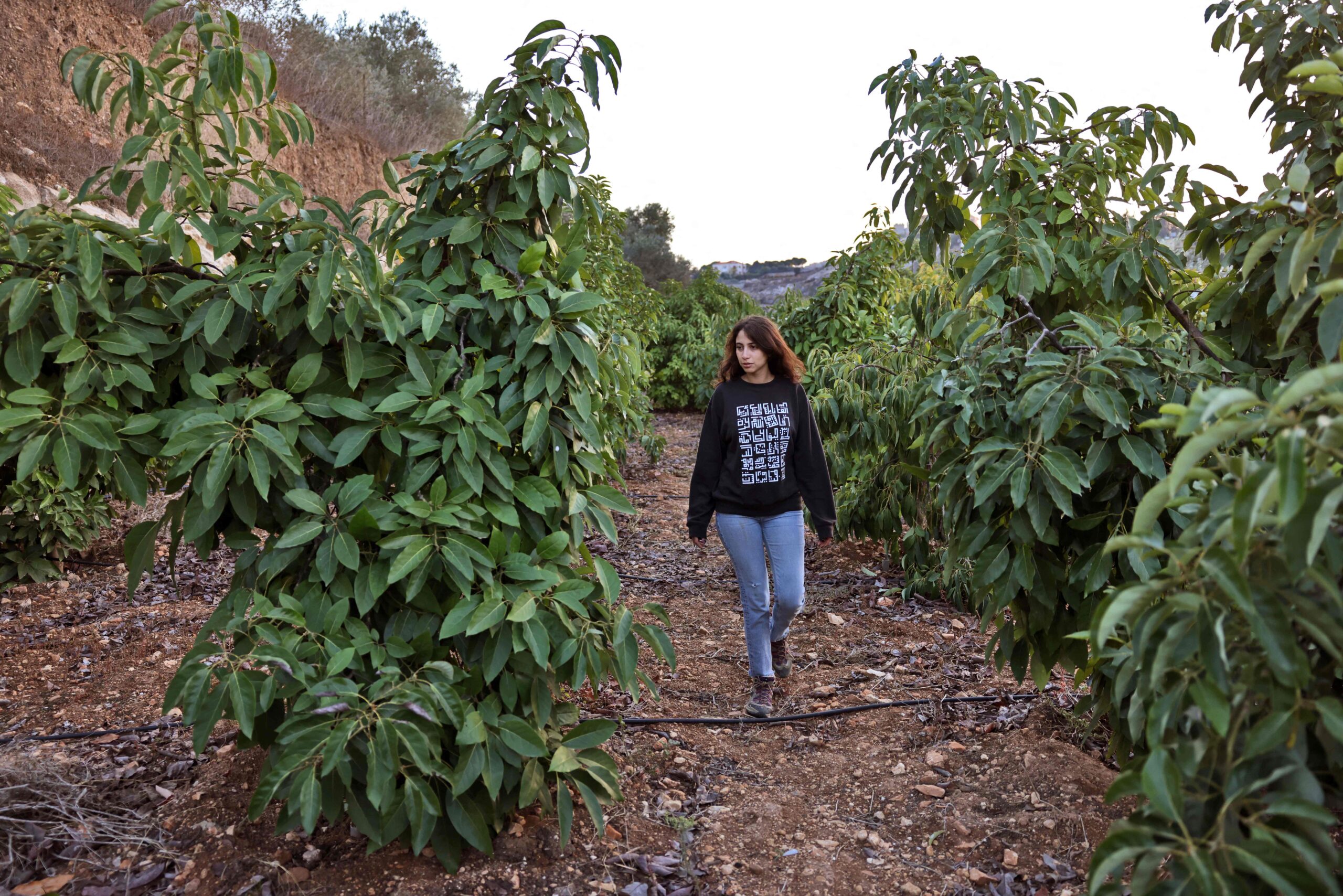 Lebanese Thurayya, 28, inspects her avocado trees in the village of Sinay, south of Beirut, on November 22, 2021. Thurayya left the Beirut neighbourhood where she was born and moved to the family farm, not as an environmental fad but forced by Lebanon's bruising crises. (Photo by Joseph EID / AFP)