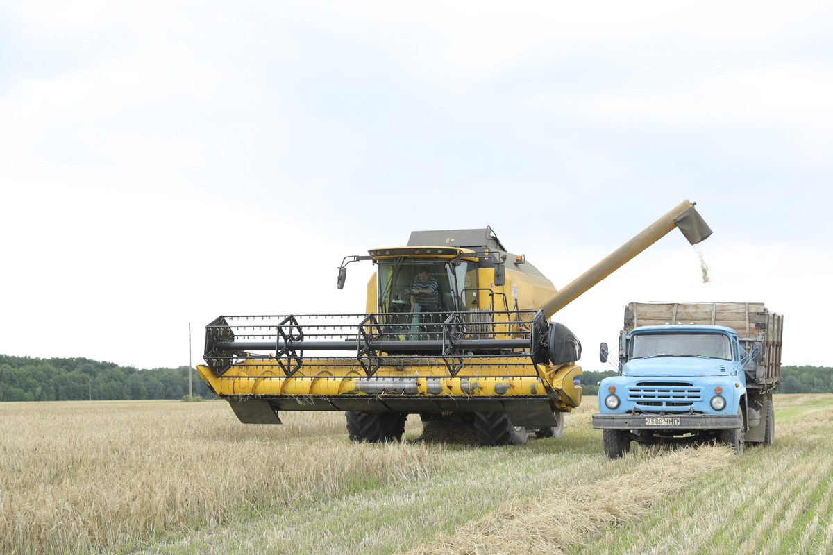 (220801) -- CHERNIHIV, Aug. 1, 2022 (Xinhua) -- A harvester operates at a farm in Chernihiv, Ukraine, July 30, 2022. (Xinhua/Li Dongxu)