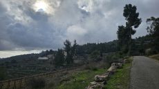 الطقس: ارتفاع طفيف على درجات الحرارة