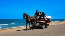 الاحتلال يواصل حربه على قطاع غزة ومقترح مصري لوقف إطلاق النار