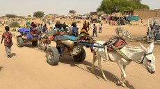 السودان: أكثر من 60 ألف أسرة نزحت من مخيم زمزم بالفاشر