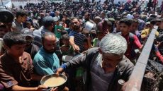 غزة تموت جوعا.. الأونروا تدعو لرفع الحصار لإنهاء المجاعة