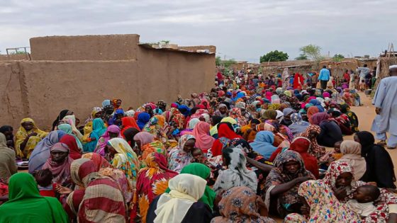 مجلس الأمن يدعو لإيصال المساعدات الإنسانية إلى الفاشر السودانية