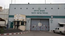 الاحتلال يفرج عن المعتقل نائل أبو عبيد من جنين بعد أن أمضى 17 عاماً