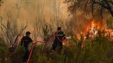 اندلاع حريق غابات بإقليم تاونات شمال المغرب