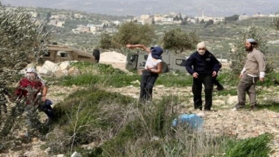 مستعمرون يطلقون مواشيهم بين مساكن المواطنين في شلال العوجا شمال أريحا