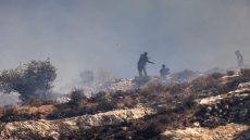 اعتقالات وإصابات بهجمات للمستوطنين في الضفة الغربية