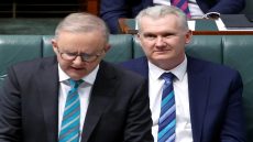 أستراليا لنتنياهو: القوة لا تقاس بعدد من يمكنكم تفجيرهم أو تجويعهم