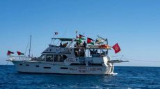 أسطول الصمود يعلن مواصلة 30 سفينة رحلتها نحو غزة رغم اعتراض الاحتلال لـ 13 منها