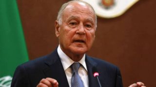 أبو الغيط: قرار مجلس الأمن بشأن إنهاء حرب غزة يمثل بداية الطريق