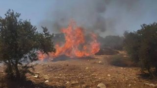 مستوطنون يضرمون النار في “عزبة زراعية” خلال هجوم جديد على قرية “أبو فلاح”