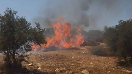 مستوطنون يضرمون النار في “عزبة زراعية” خلال هجوم جديد على قرية “أبو فلاح”
