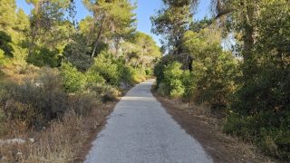 اجواء حارة الى شديدة الحرارة تضرب فلسطين وتستمر لأيام