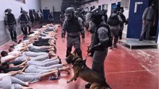 تحقيق يكشف استشهاد 98 فلسطينيا جراء التعذيب بسجون الاحتلال منذ أكتوبر 2023