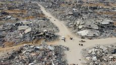 الفاو: انهيار شبه تام للزراعة في غزة وما تبقى منها أقل من 5%